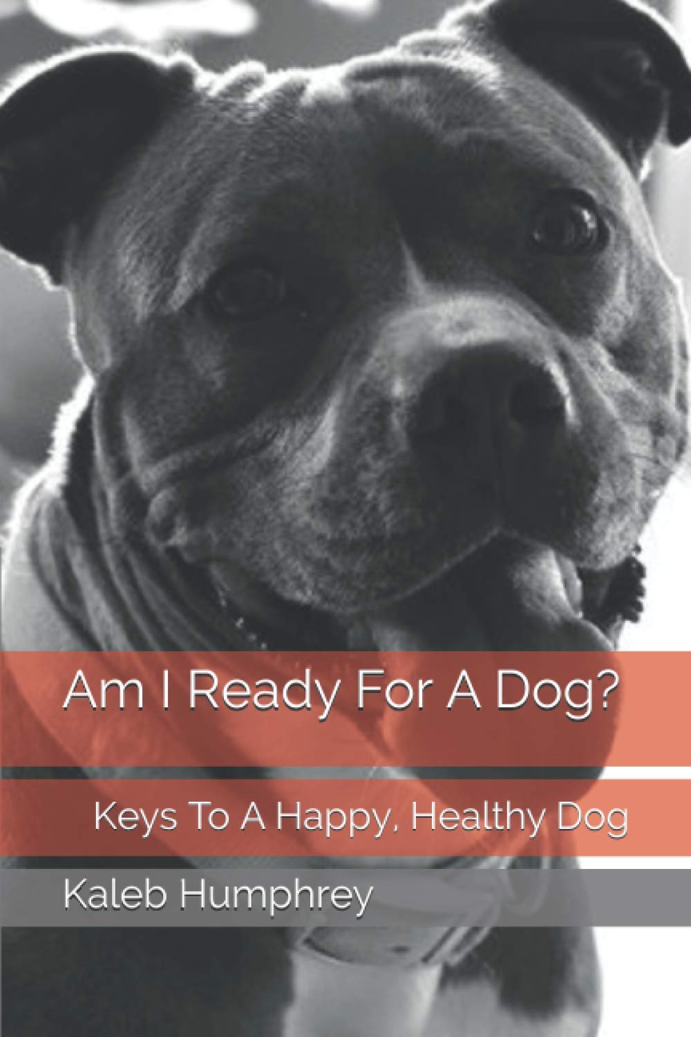 Am I Ready For A Dog?