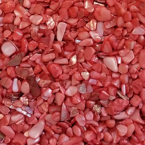 BeachWalk Pequeñas conchas naturales trituradas, para bodas, relleno de jarrón, decoración del hogar y manualidades (32 onzas (2 libras), perla roja)