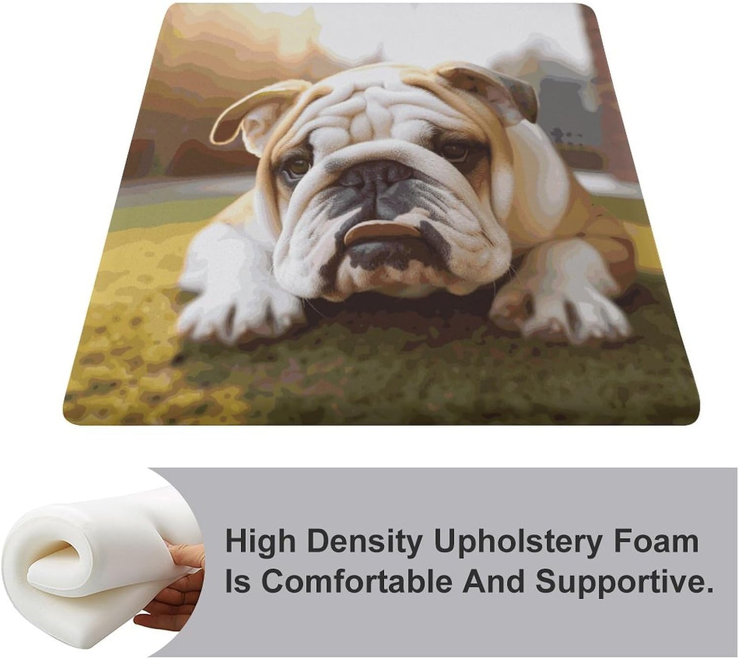 Cute Bulldog Puppy Chair Cushion Floor Pillow Stool Cushion | Cushions with Removable Cover with Square Memory for for Chair Living Room Balcony Office Sofa,13.8*15*1.2 Inch