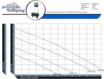 Wellspring Submersible 1HP w/Float Switch for auto Shut-Off