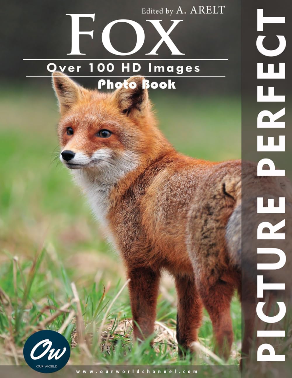 Fox: Picture Perfect Photo Book