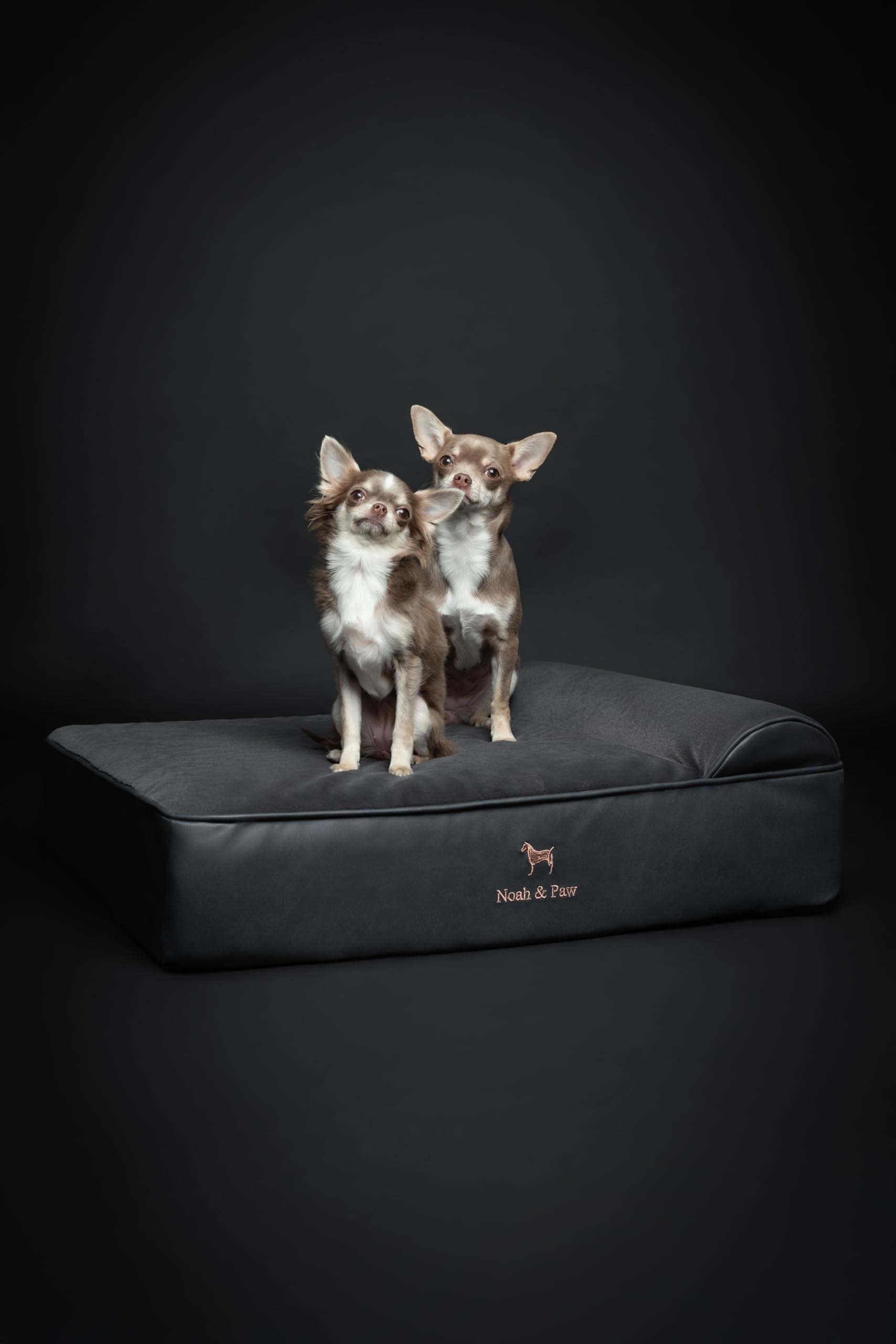 NOAH & PAW Dog Bed, 28x23x11 Inch, Orthopedic Dog Beds for Medium Size Pets, Eggshell Memory Foam Infused with Cooling Gel, Waterproof, Machine Washable, Includes Inner Cover (Faux Leather)