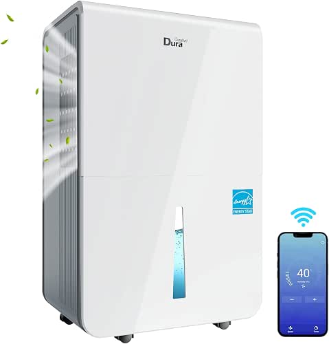 Déshumidificateurs pour cave domestique