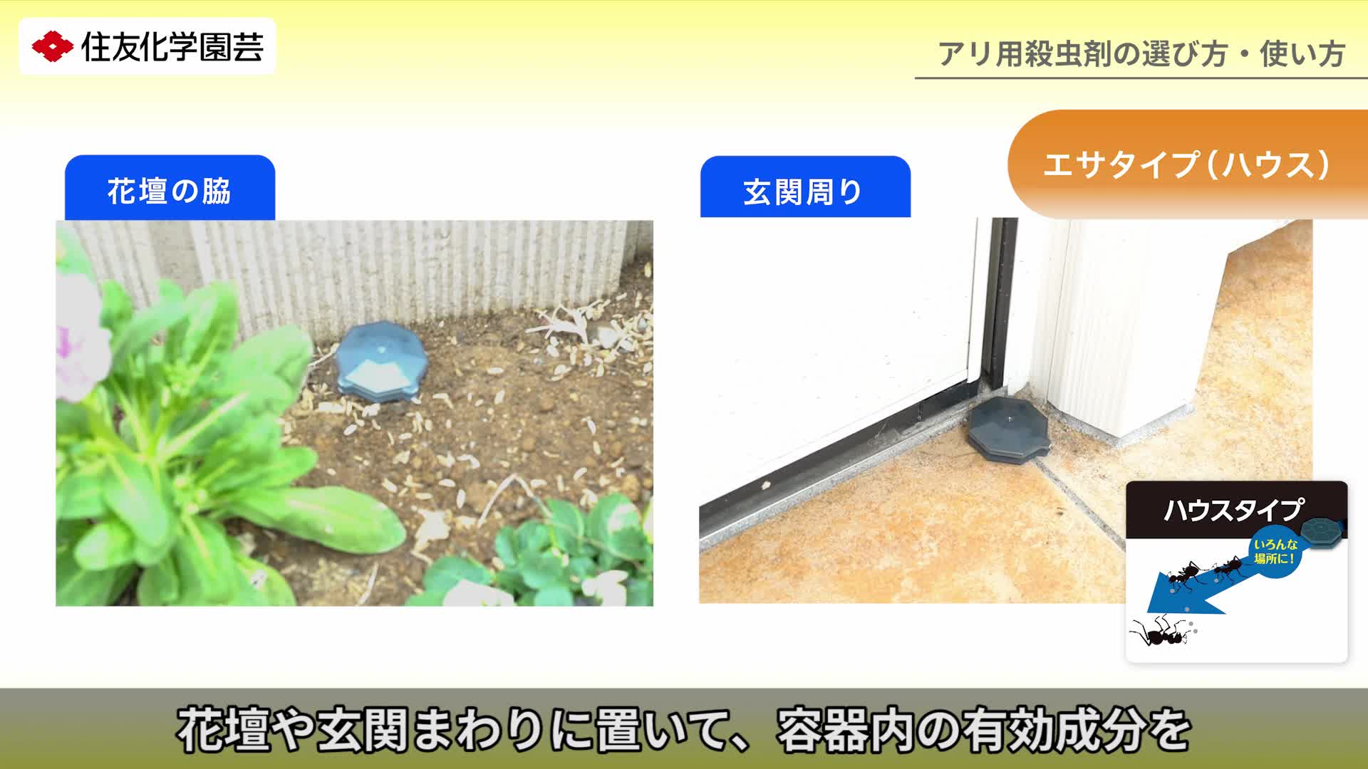 Amazon.co.jp: KINCHO園芸 不快害虫剤 アリアトールハウス 巣ごと退治