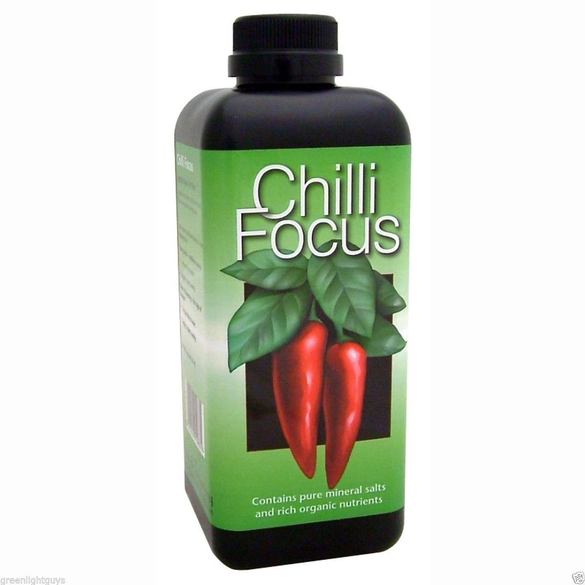 chilli focus 100ml FREE PIPPET
