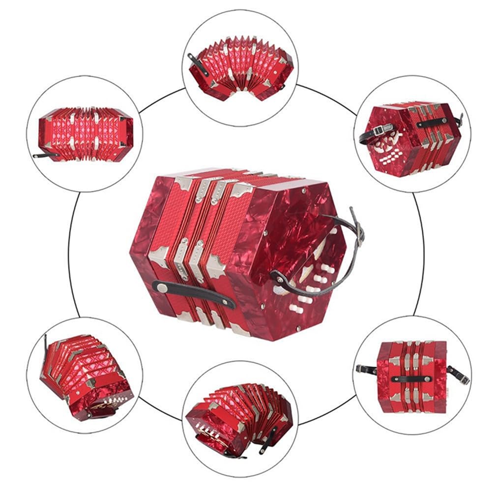 Accordéon hexagonal avec 20 touches et 40 tonnes, instrument professionnel pour la pratique de l'enseignement