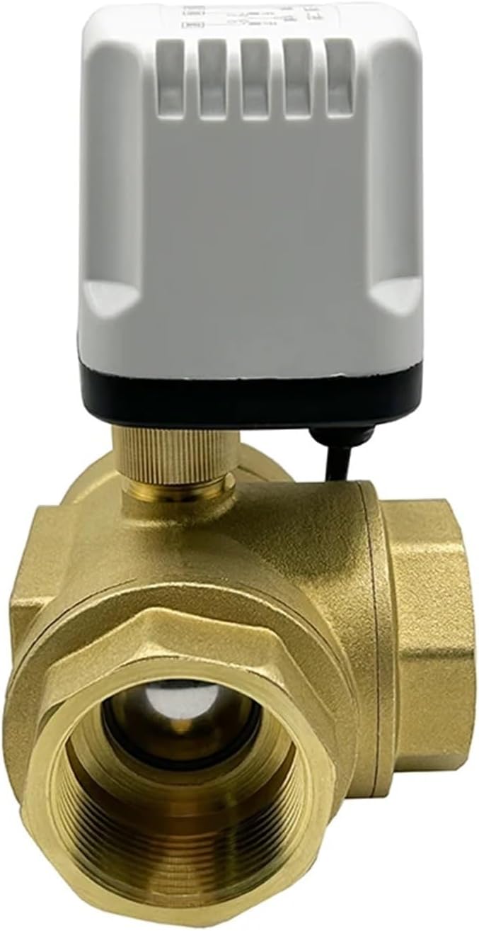 囲碁棋士 坂田栄男 二十三世本因坊栄寿 直筆サイン色紙 藤沢秀行全集