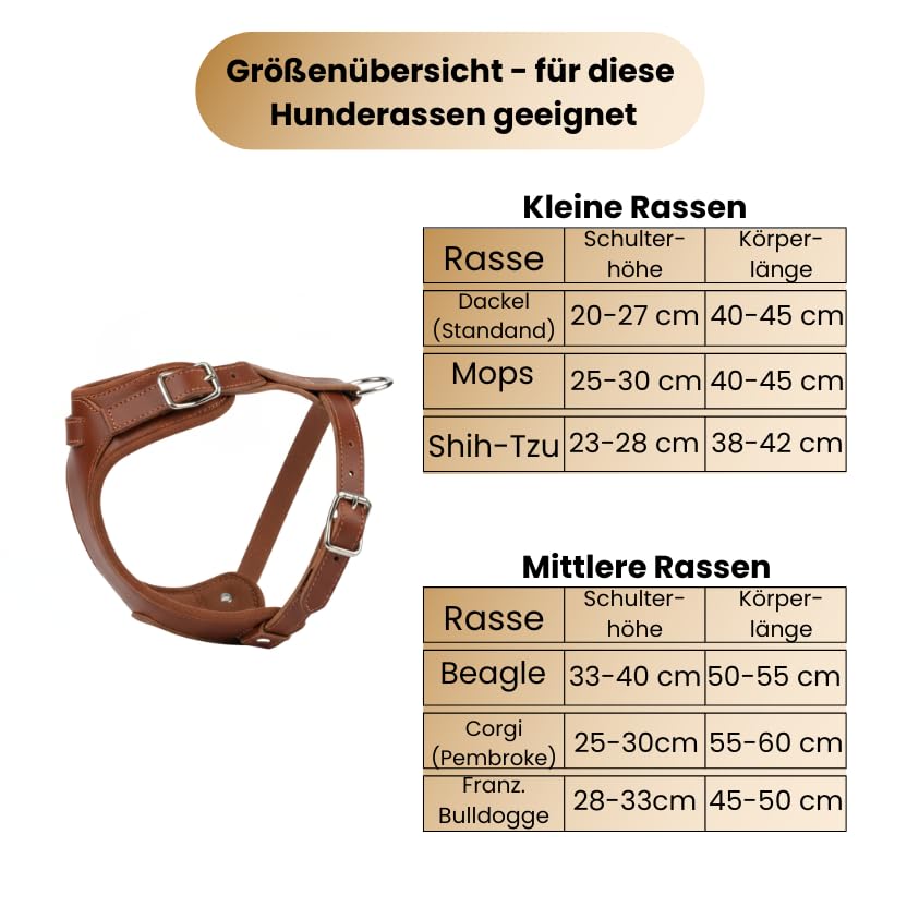 Hundegeschirr kleine Hunde aus echtem Rindsleder - Hundegeschirr Leder für Dackel, Chihuahua & co - verstellbares Welpengeschirr - Geschirr für kleine Hunde für Spaziergänge & Alltag (S)
