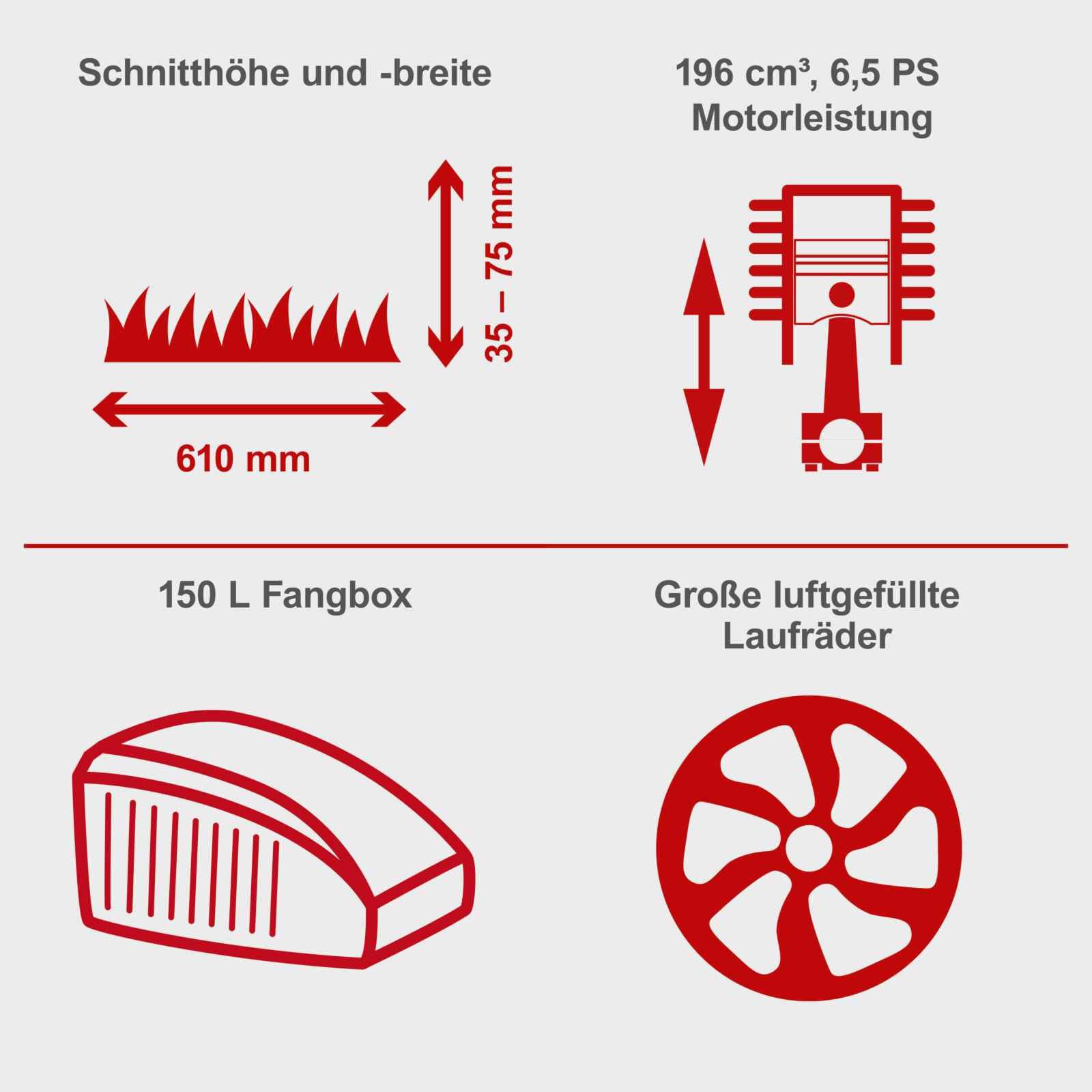 Scheppach Benzin Rasentraktor Aufsitzmäher MR196-61 | 6,5PS | Schnittbreite 61cm | 5-Fach Höhenverstellung | E-Start | 150 L Fangsack | 4X Vorwärts / 1xRückwärtsgang | Rasenmäher Aufsitzrasenmäher