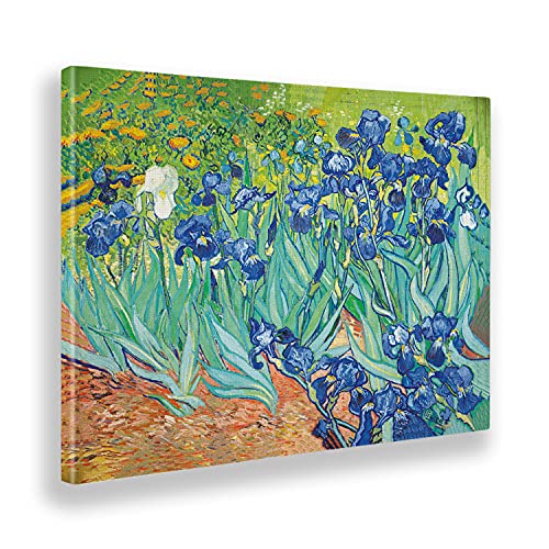 Giallobus - Quadro - Vincent Van Gogh - Iris