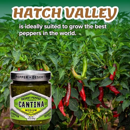 Desert Pepper Trading Company Cantina Salsa, Medium Green, With Green Chiles, Jalapenos, Cilantro, Garlic 16-Ounce (1-Pack) - image 5