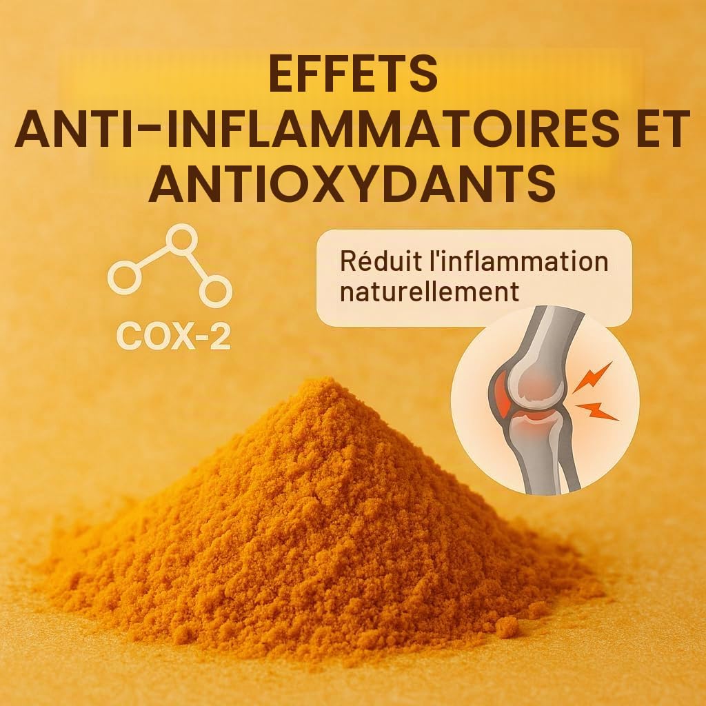 GiDeli Curcuma en Poudre 10kg - 100% Curcuma Longa pur Sans Additif - Racines Indiennes Récoltées à la Main - Mouture fine et Couleur Jaune Éclatante - Idéal pour Currys et Riz