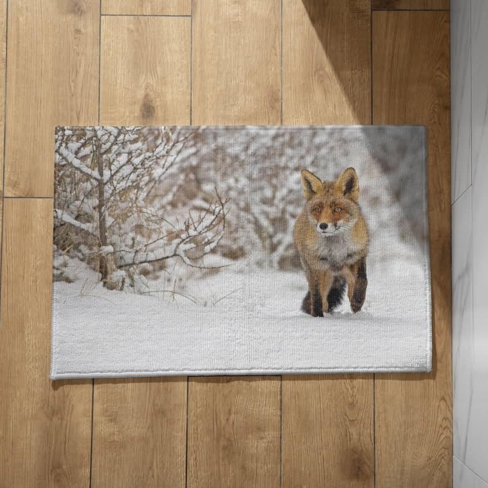 Tapis devant de porte extérieur CEVAN 50x80cm renard pour entrée