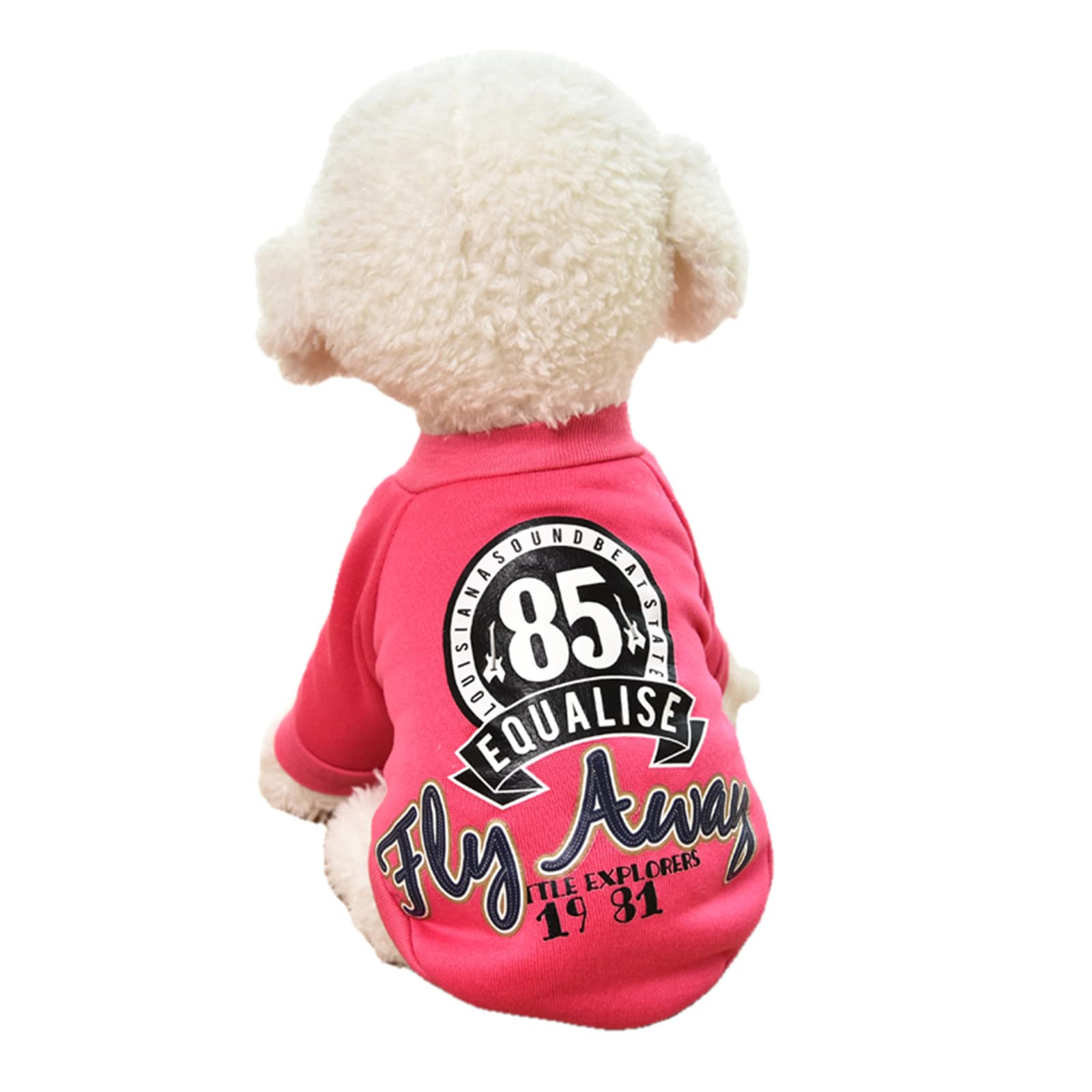 Chien manteau chat hiver pull chaud pour spitz et petit chiot XL