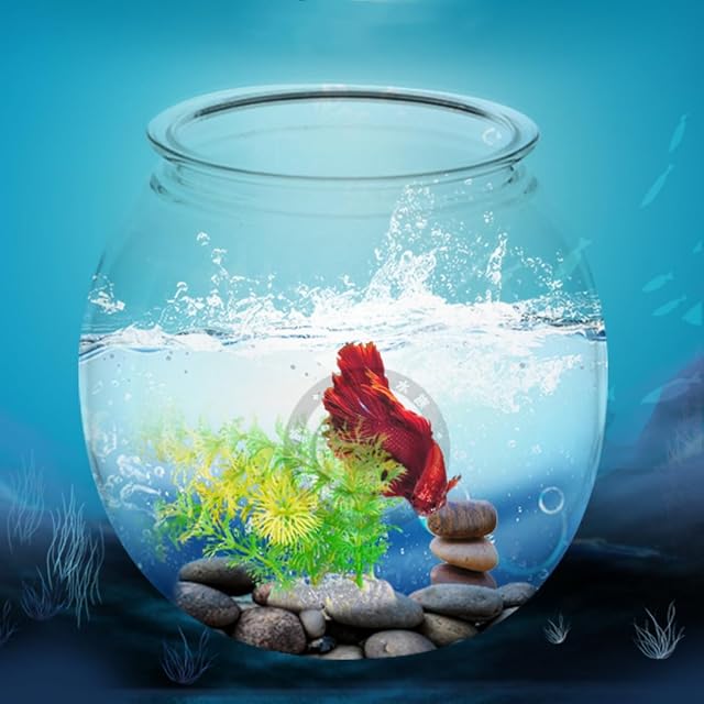Foto 8 de 8 de Goldfish Bowl - Cuencos de plástico transparente para pecera, pequeño acuario transparente, redondo, maceta…