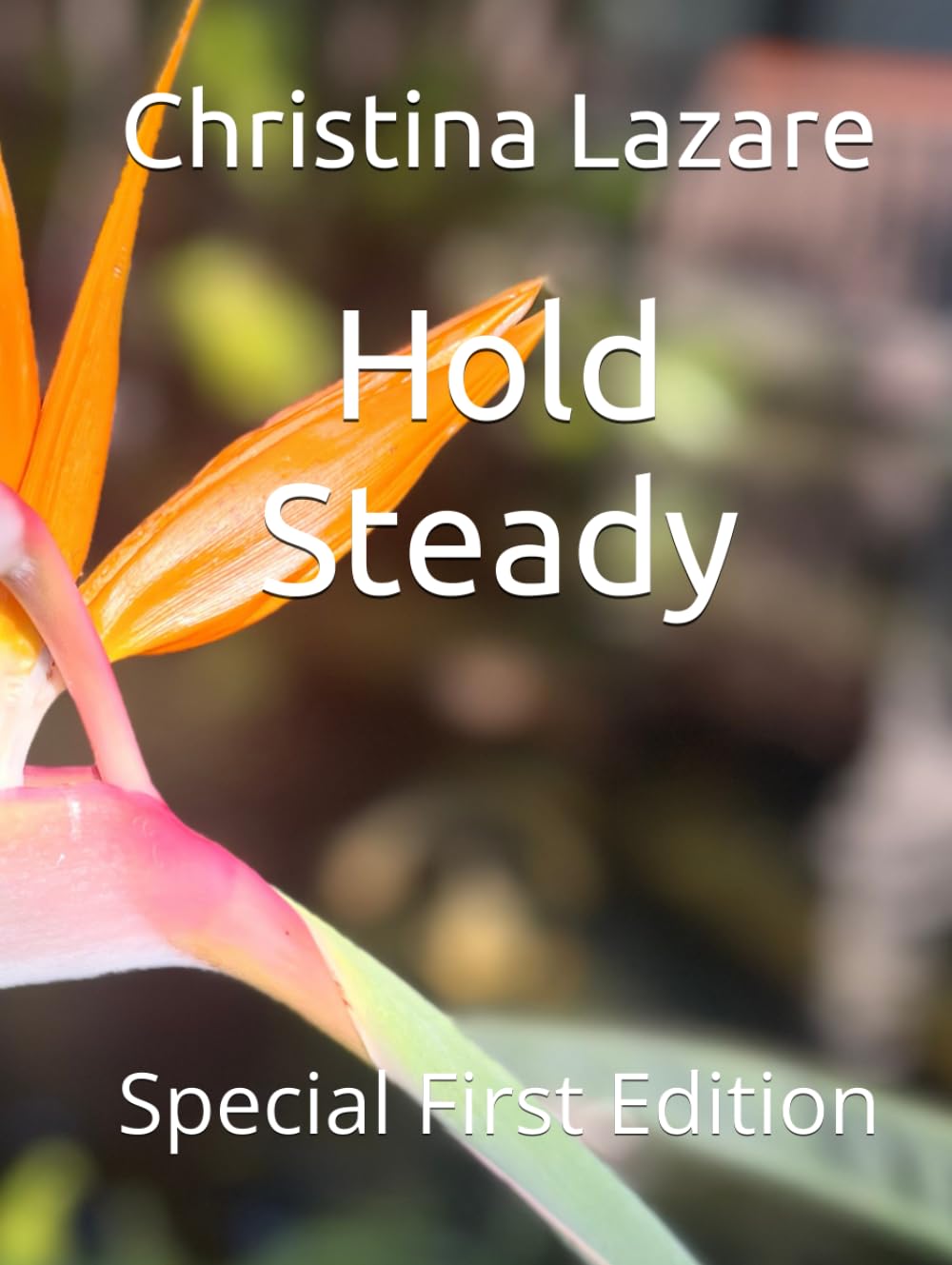 Hold Steady: Special First Edition