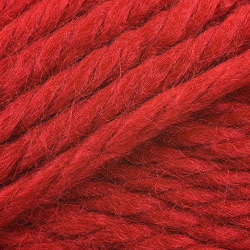 Image of Lion Brand Yarn Hometown Yarn, Bulky Yarn for Knitting and Crocheting, Cincinnati Red, 192 Foot (Pack of 2)