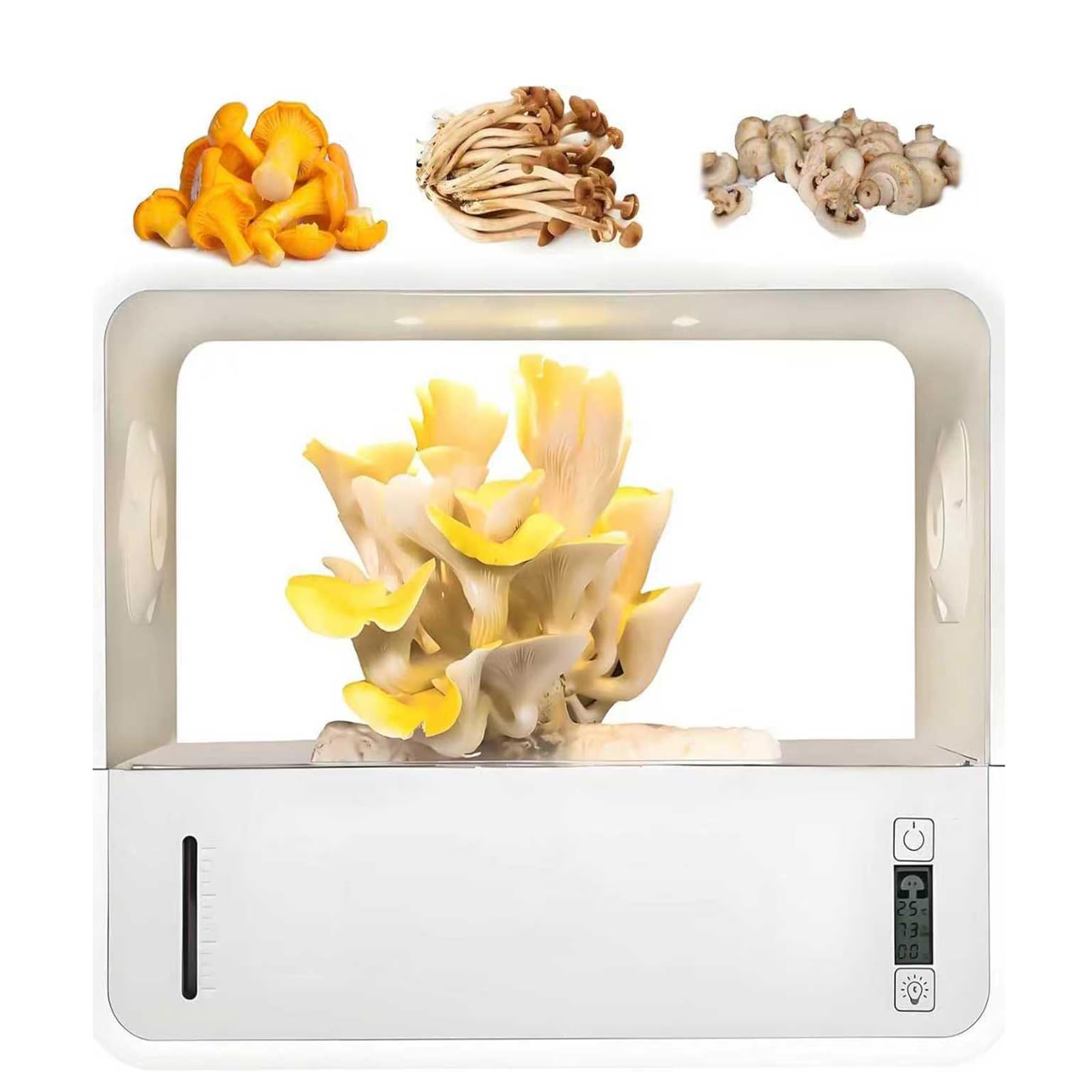 Indoor Mushroom Grow Tent Kit Automated Humidity Control LED Light Fresh Air System Still Air Box Fits Oyster