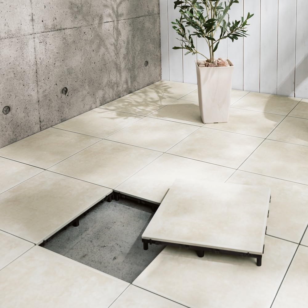 富貴図】板倉星光 2662 白牡丹 富貴花 共箱 肉筆