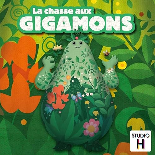 Studio H Chasse aux Gigamons - vue 3