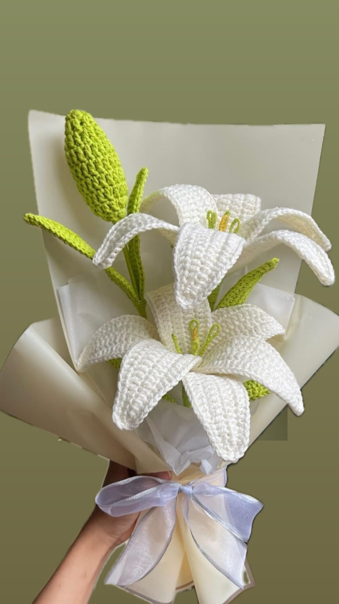 care chinese money plant Pilea Chinese money plant Kokedama  KOKECUTES