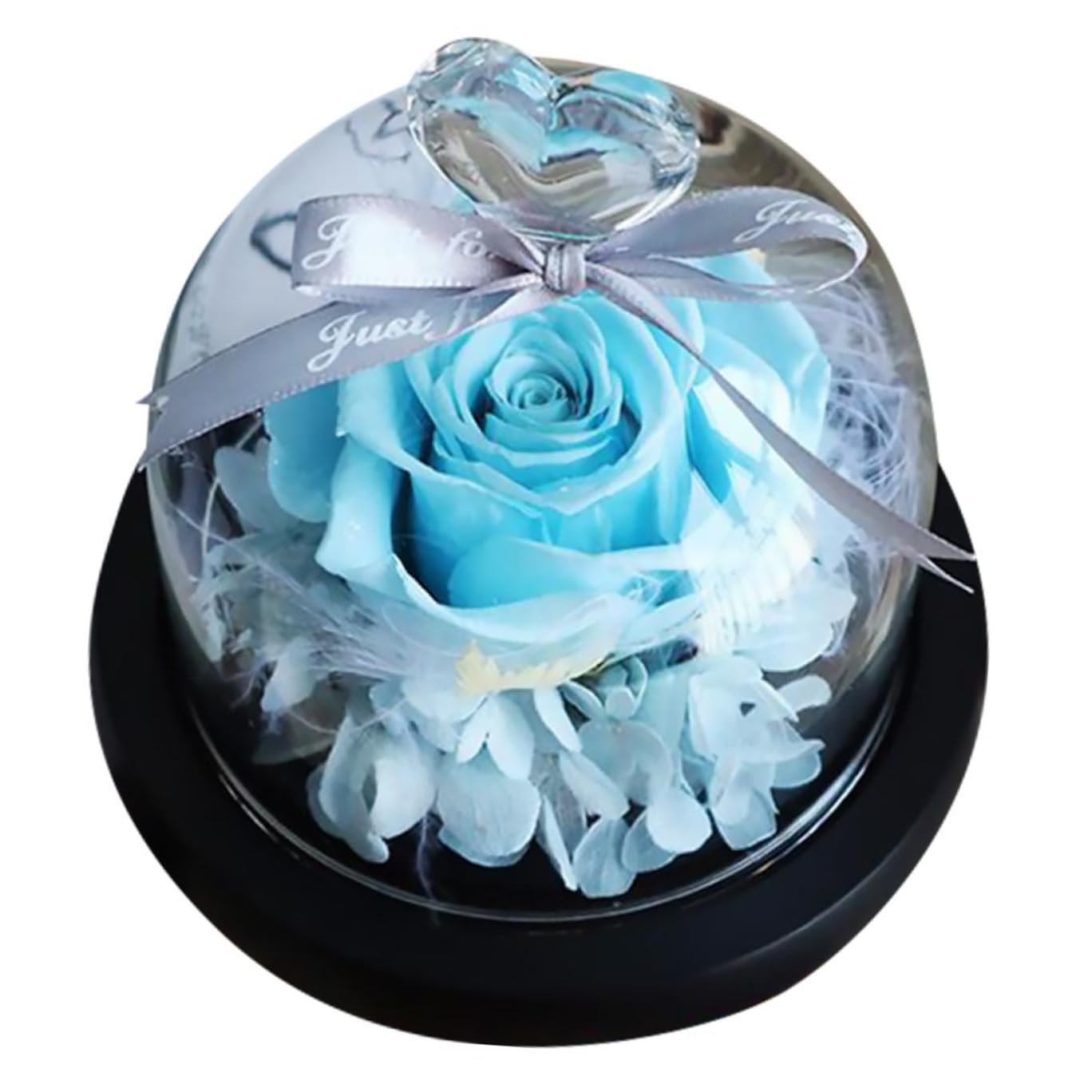 Rose préservée sous cloche en verre : décoration d'ambiance maison poétique