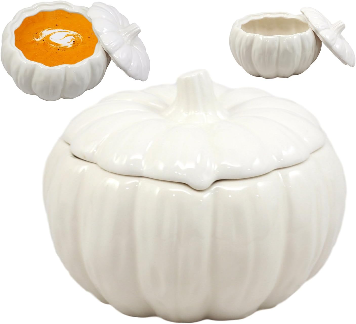 Ebros Gift Ceramic Stoneware White Harvest Pumpkin Bowl