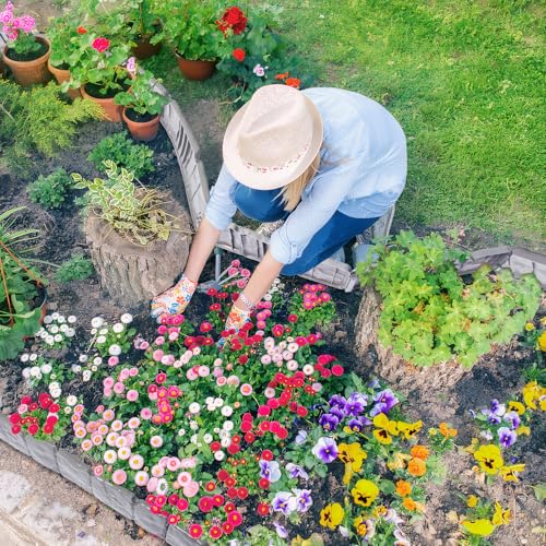 Garden Landscape Edging Borders No Dig,16 ft Lawn Edging for Landscaping,Plastic Fencing Lawn Border,Imitation Stone Fence for DIY Outdoor Patio Balcony Yard Landscaping (20pcs, Gray)