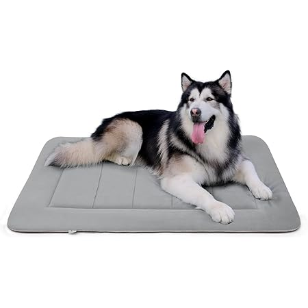 48 inch dog bed