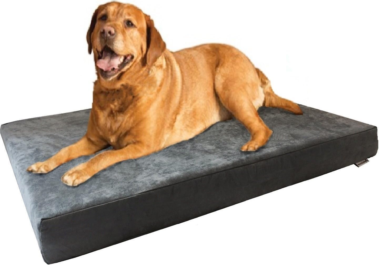 ROYALS RORE Dog Beds Orthopadic XXL Bed Waterproof Layer for Labrador, Bulldog, Retriever, Poodle, Large Breed dogbed 47X29X4 (Black) (B0CWVKR5MX) Amazon Price History, Amazon Price Tracker