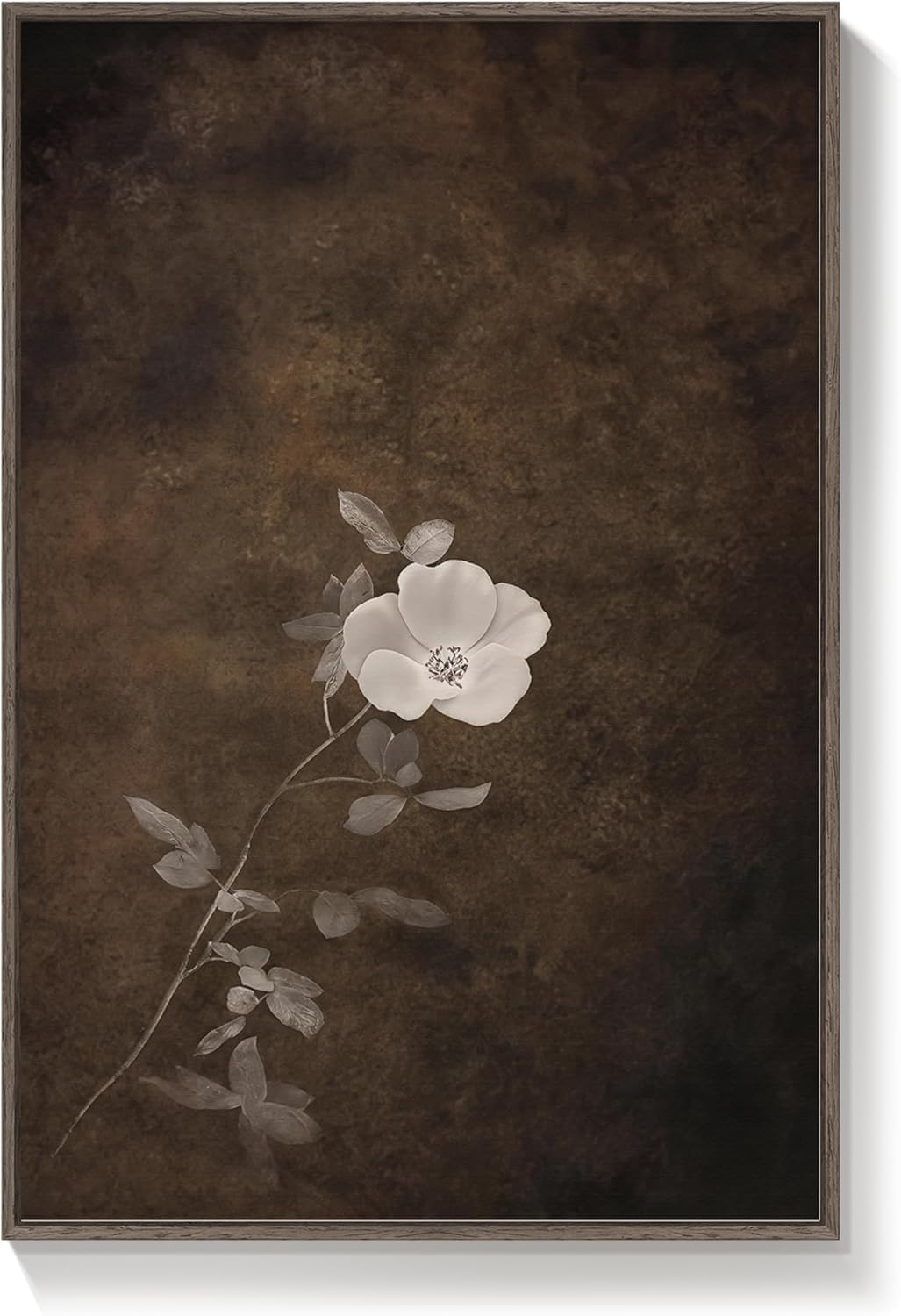 lianyibo Vintage Floral Wall Art, Botanical Canvas Posters Brown Wabi Sabi Dark Flower Painting Prints for Living Room Decor(50x70cm/Frameless)