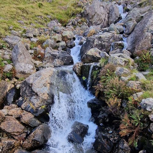 Episode 40 - The arts of awakening & selfing