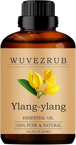 Miniatura 168 de Aceites Esenciales de Orégano, 30ml 100% Puro y Natural Aceite Esencial para Difusor de Aromaterapia - Orégano / 1 Fl Oz