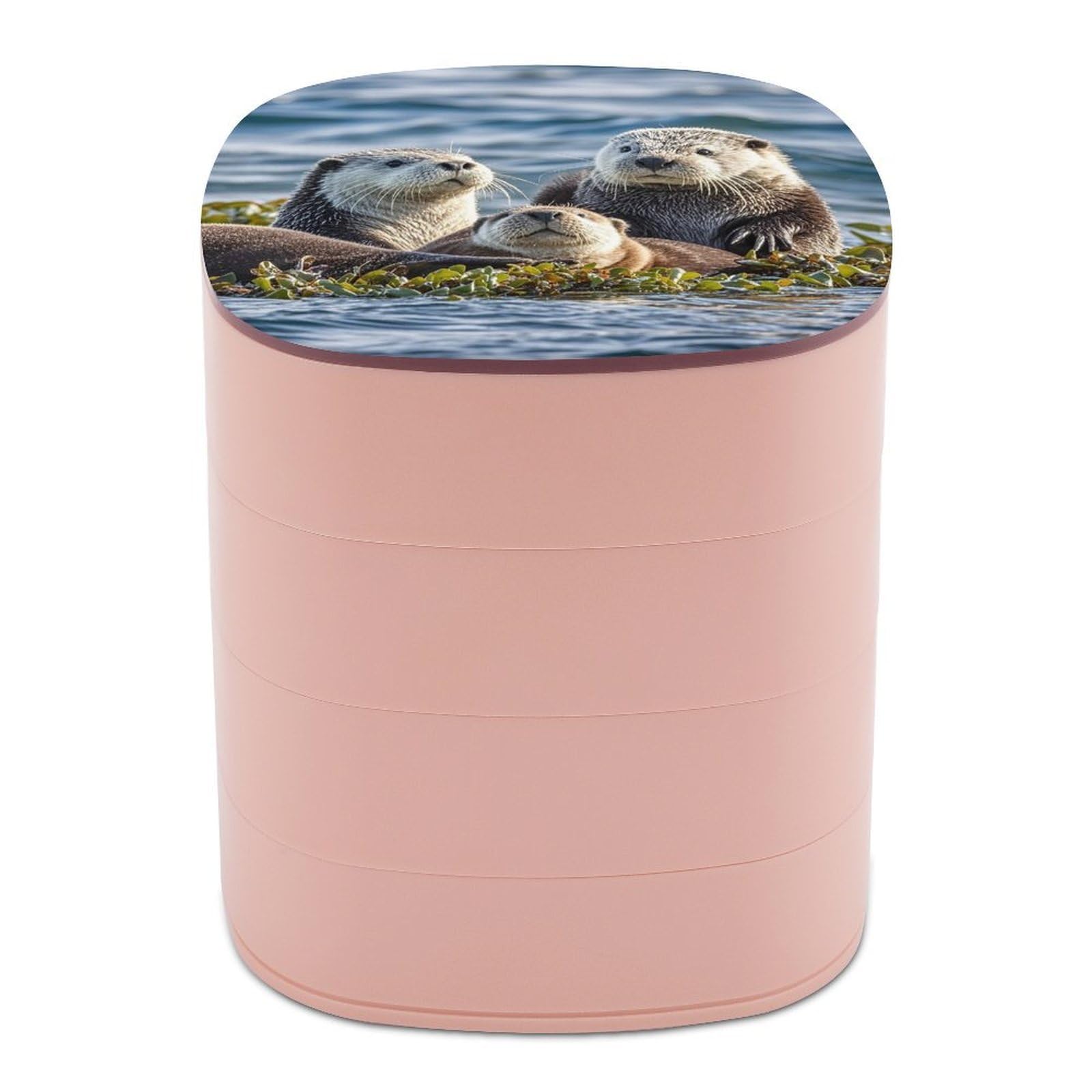 FekiLoot Rotating Sea Otters Jewelry Box Large Capacity Jewelry Organizer with Mirror 4 Tier Hoop Ring And Earring Holder With Lid Small Travel Jewelry Case for Women