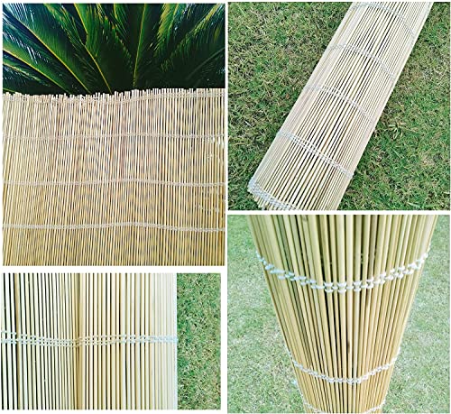 Z&Q Garden Peeled Reed Screening Fence Cord Chain Stitched Hand-Woven Durable Roll Panel Best for Outdoor Privacy Walls Sun/Wind Protection (1x6m Fence)
