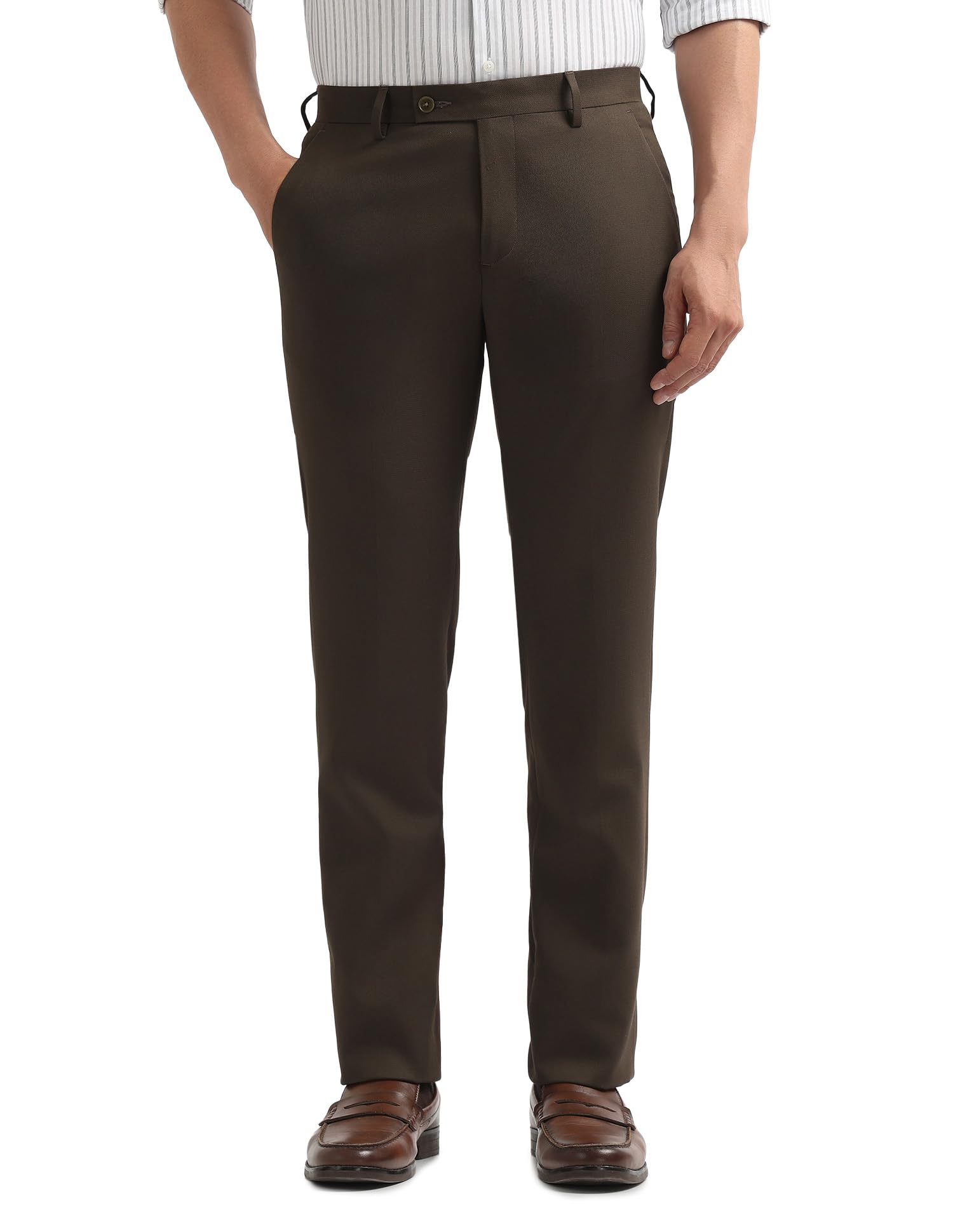 arrow Men Brown Formal Trouser_ARAEOTR2085-picture-20