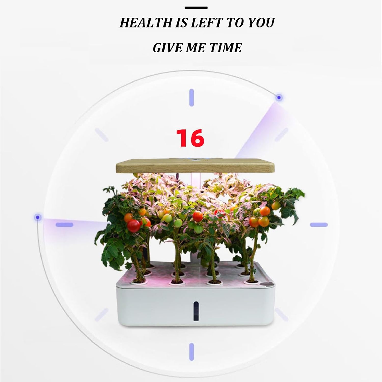 水耕栽培 セット 室内 植物育成LEDライト付き