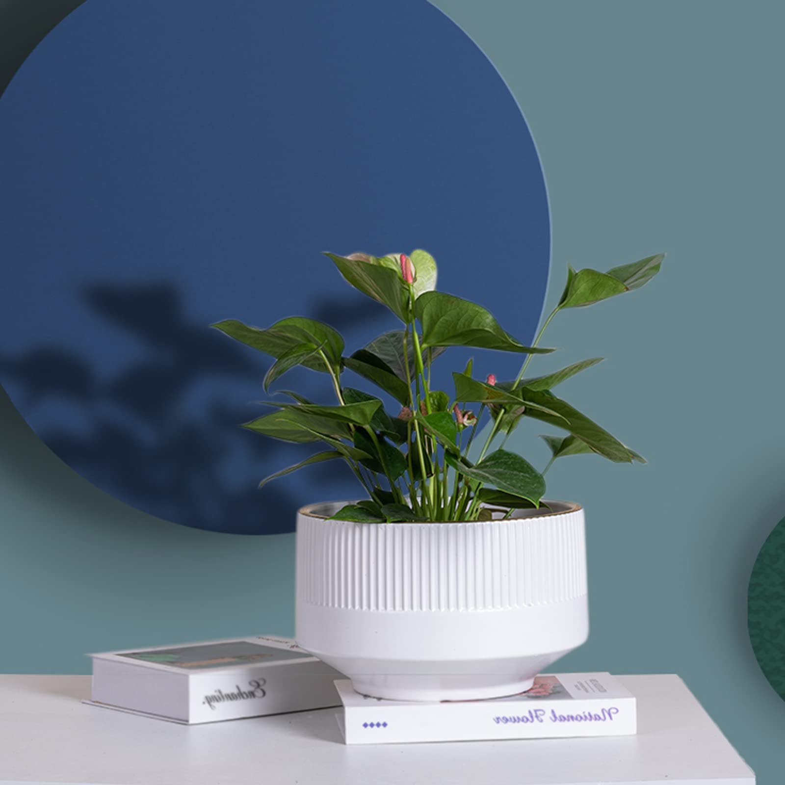 Vasi da Giardino Fioriere in Ceramica, Vasi per Piante a Strisce Verticali da 7/9/11 Pollici con Fori di Scarico per Giardinaggio Home Desktop Decorazione per Ufficio