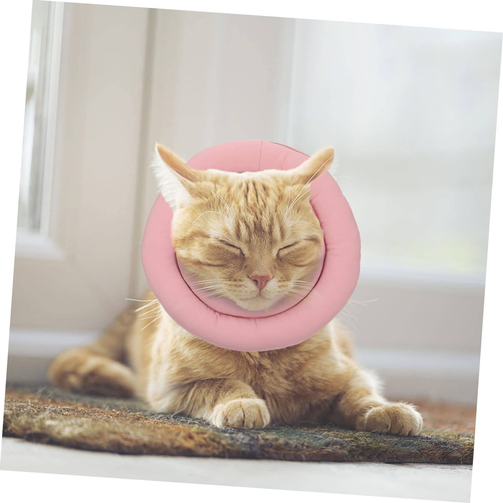 INOOMP 3pezzi Collare Protettivo Per Gatti Collare Di Per Cani e Gatti Comodo Per Post-operazione e Ferite Non Ostacola La Vista Facile Da Indossare