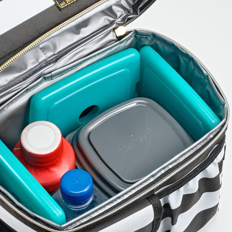 Miniatura 4 de Fit + Fresh, Cool Coolers - Paquetes de hielo delgados, reutilizables y de larga duración para loncheras, verde, 8 unidades