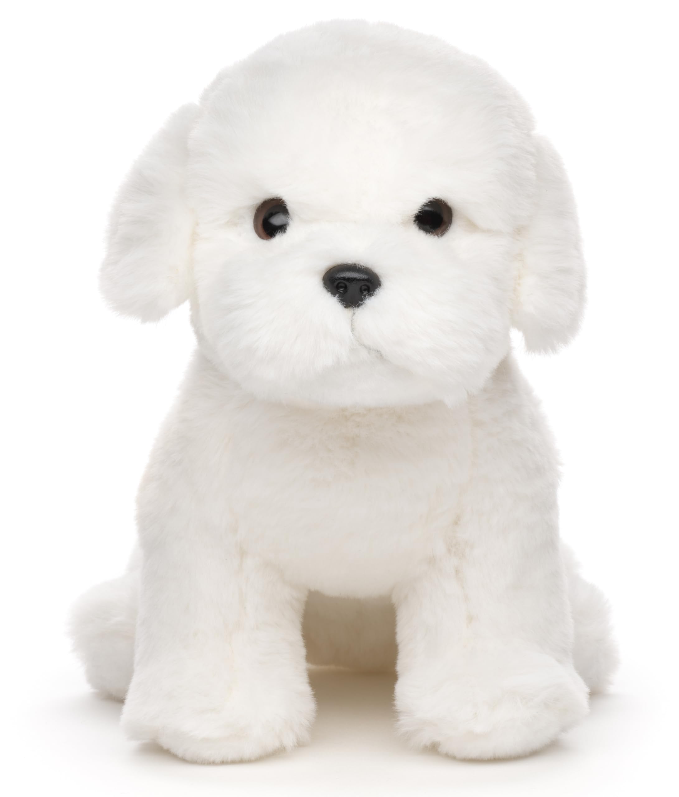 Uni-Toys - Maltese (without lead) - 26 cm (length) - plush dog - plush toy, cuddly toy