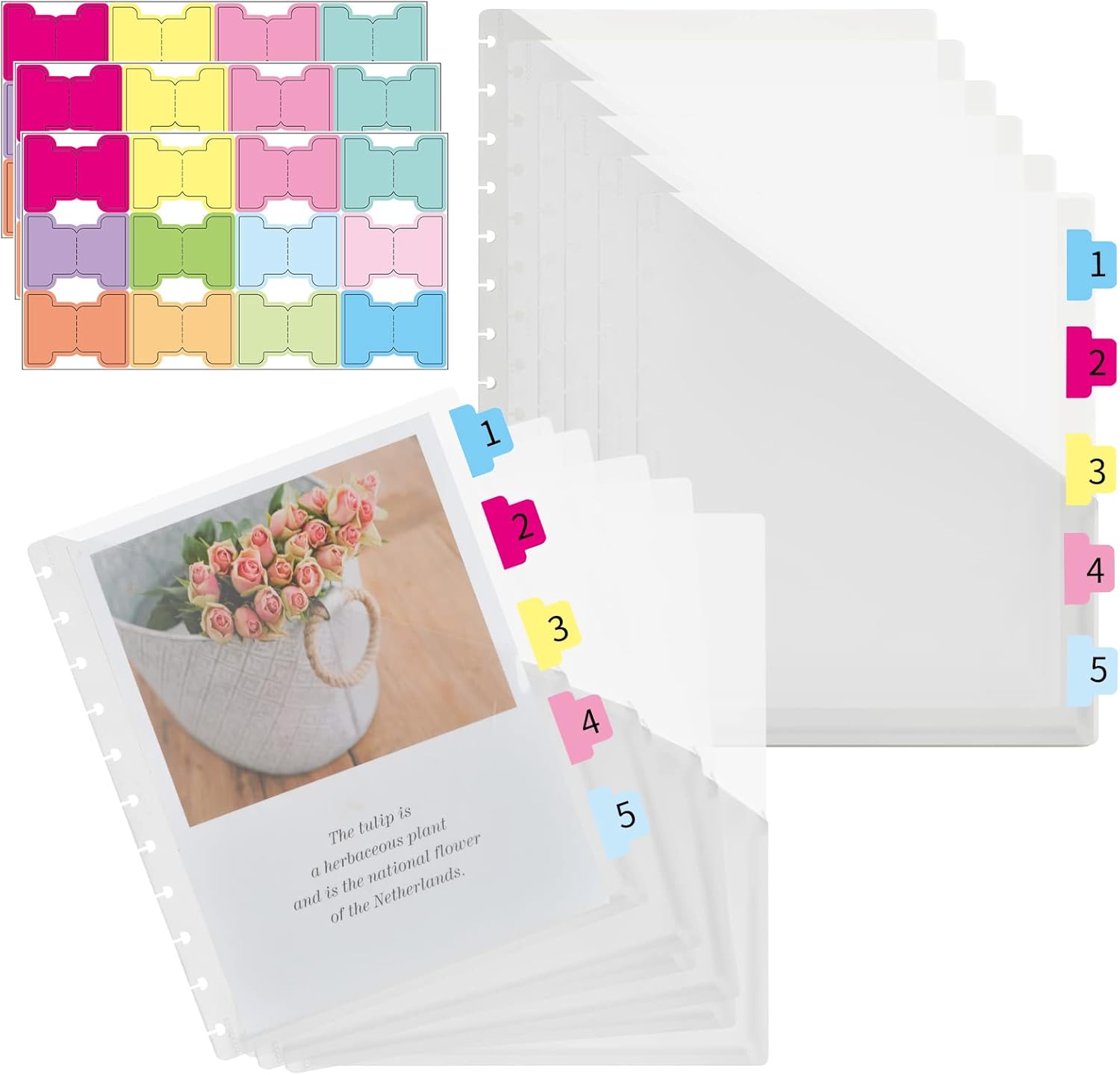 Discbound Pocket Discbound Notebook Dividers Discbound