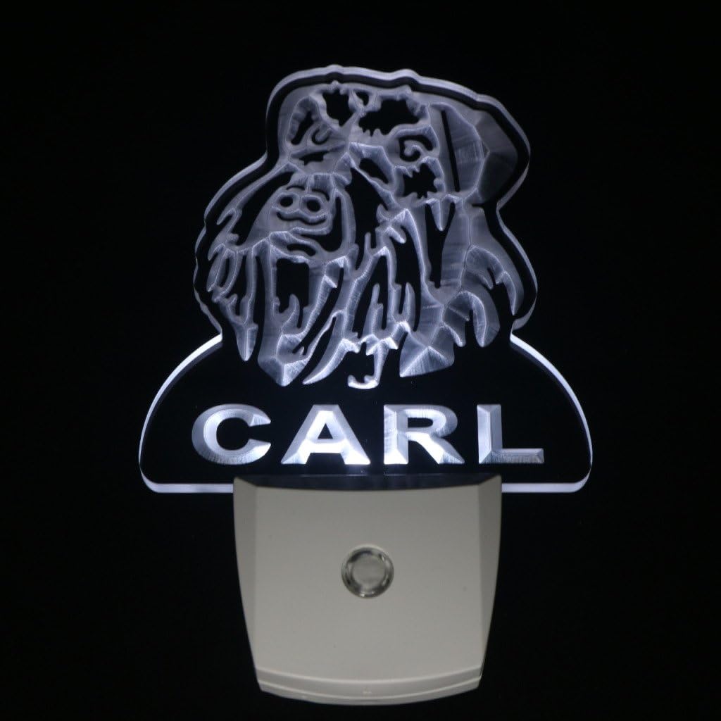 ADVPRO ws1087-tm Schnauzer Dog Personalized Night Light Name Day/Night Sensor LED Sign