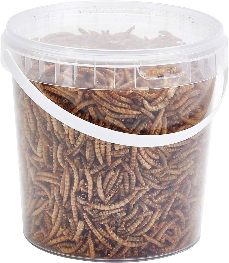 Dried Mealworms are a perfect source of protein for Wild birds, Chicken, Fish,hamsters, & Reptiles.(1 KG)