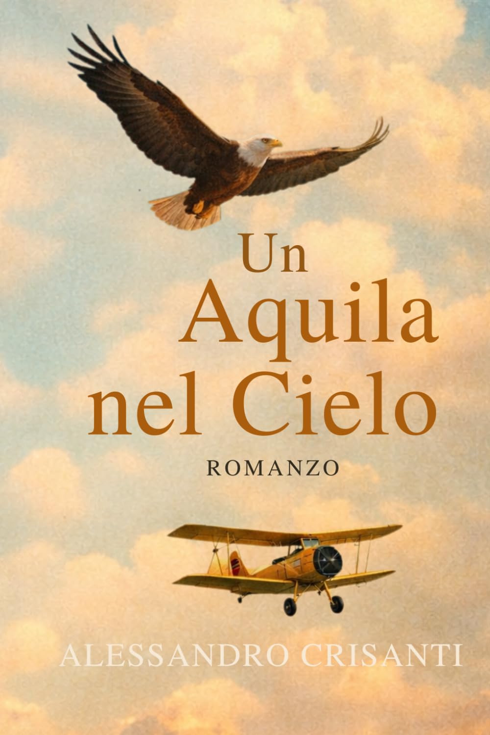 Un aquila nel cielo: Ogni limite è una sfida del destino. Solo la forza decide chi vince