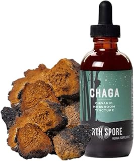 North Spore Chaga Mushroom Tincture | Energy & Wellness Boosting Supplement Drops | Adaptogenic Superfood | Dual Extract Organic Blend, 100% Fruiting Bodies | Non-GMO, Vegan - 2oz