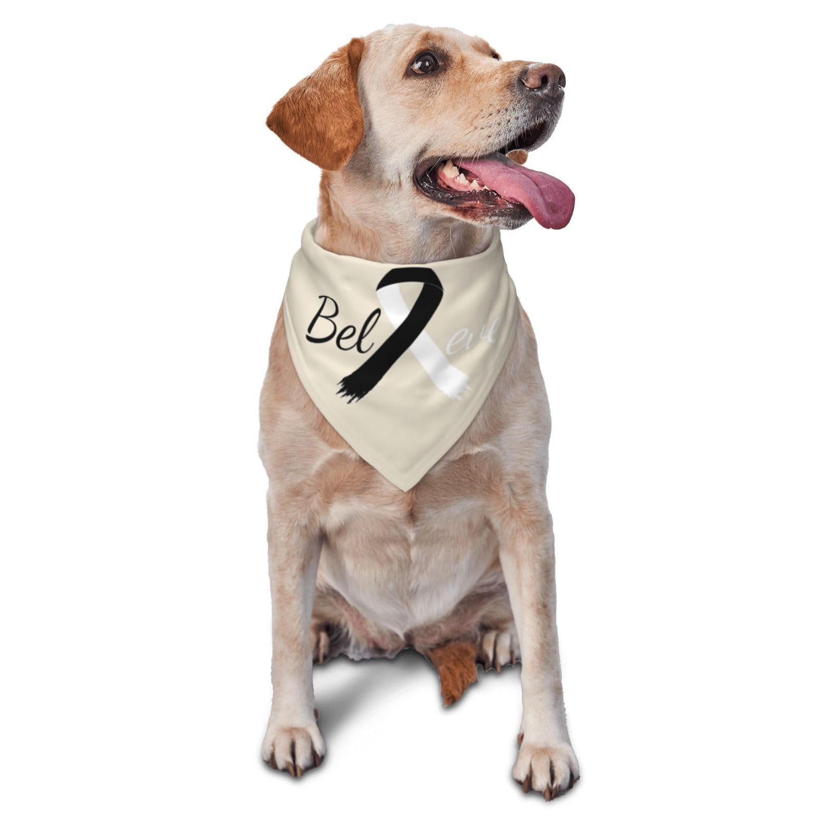 Cancer Believe Carcinoid Cancer Zebra Ribbon Dog Scarf Pet Bandana Cat Pet Bibs