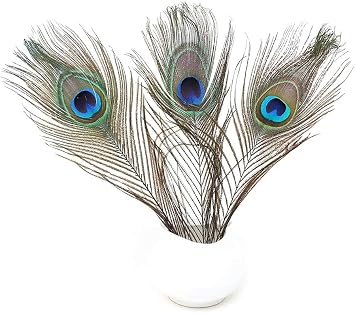 Ballinger Natural Craft Peacock Feathers Bulk,16Pcs,10-12inch