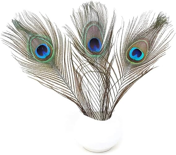Ballinger Natural Craft Peacock Feathers Bulk,16Pcs,10-12inch