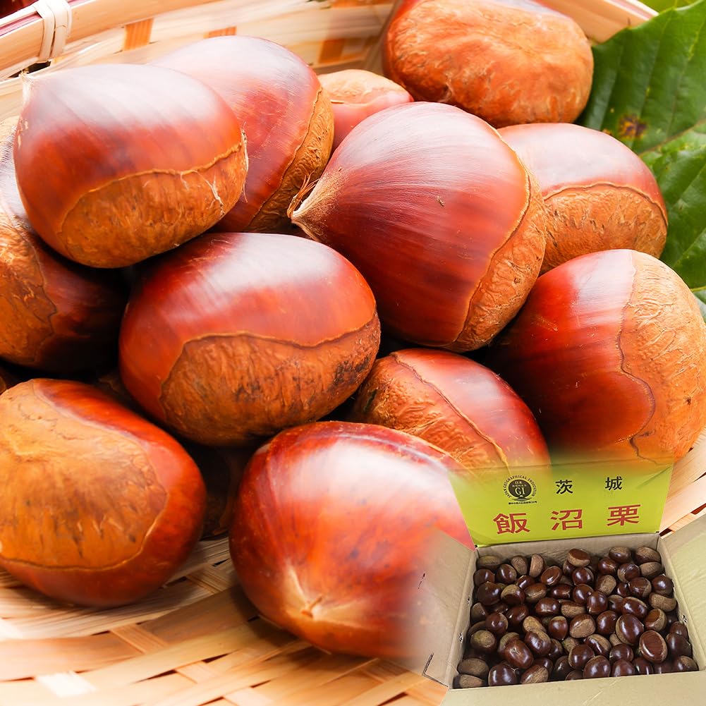 高級 飯沼栗 10kg 最終 【公式通販】